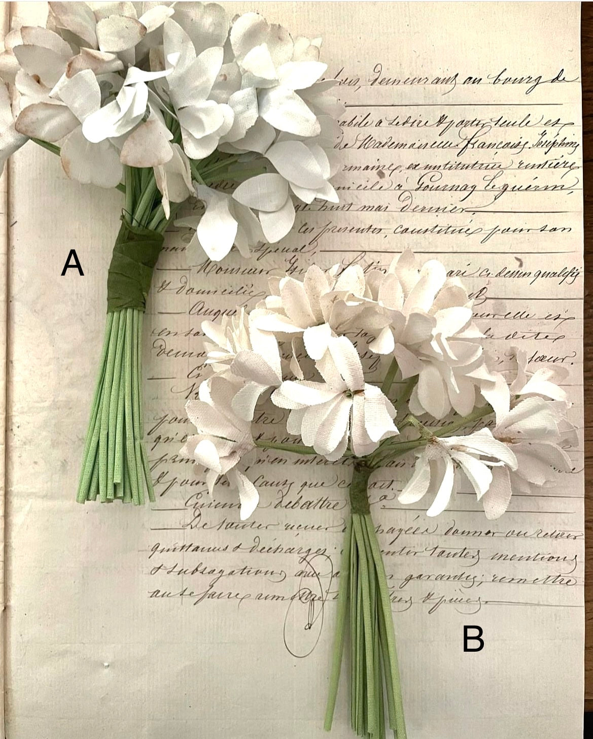 White Floppy Flowers