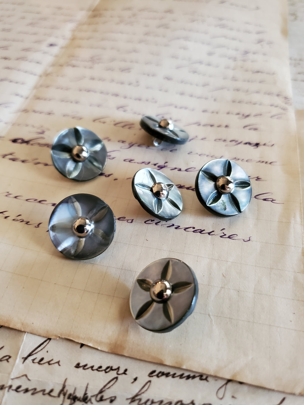 6 Vintage Grey Abalone Carved Buttons