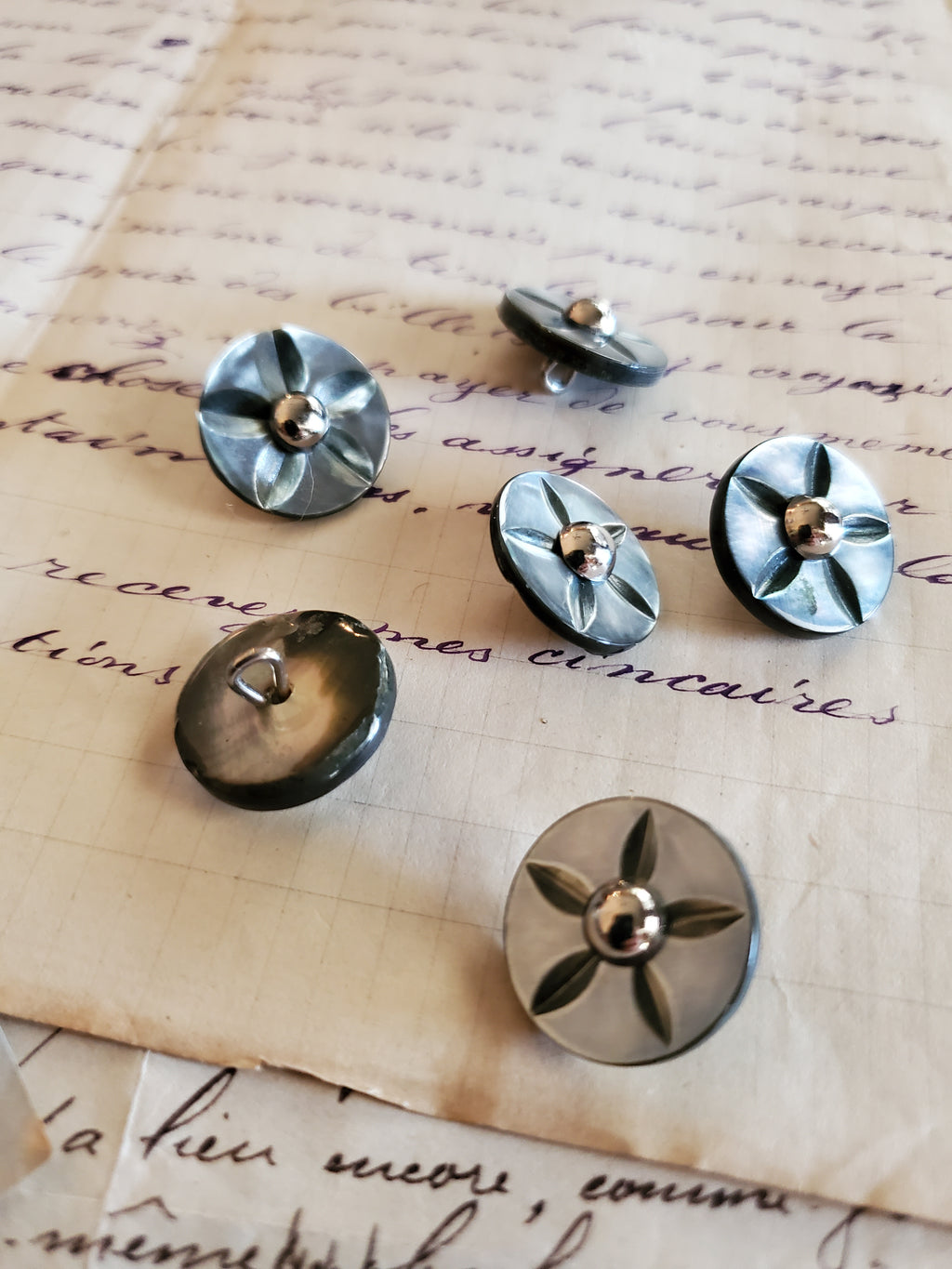 6 Vintage Grey Abalone Carved Buttons