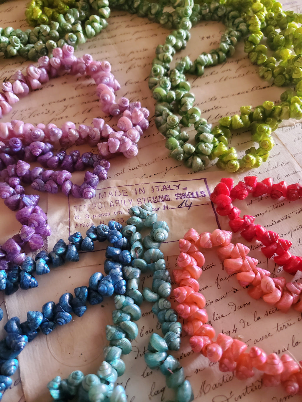 Mini Venetian Sea Shells