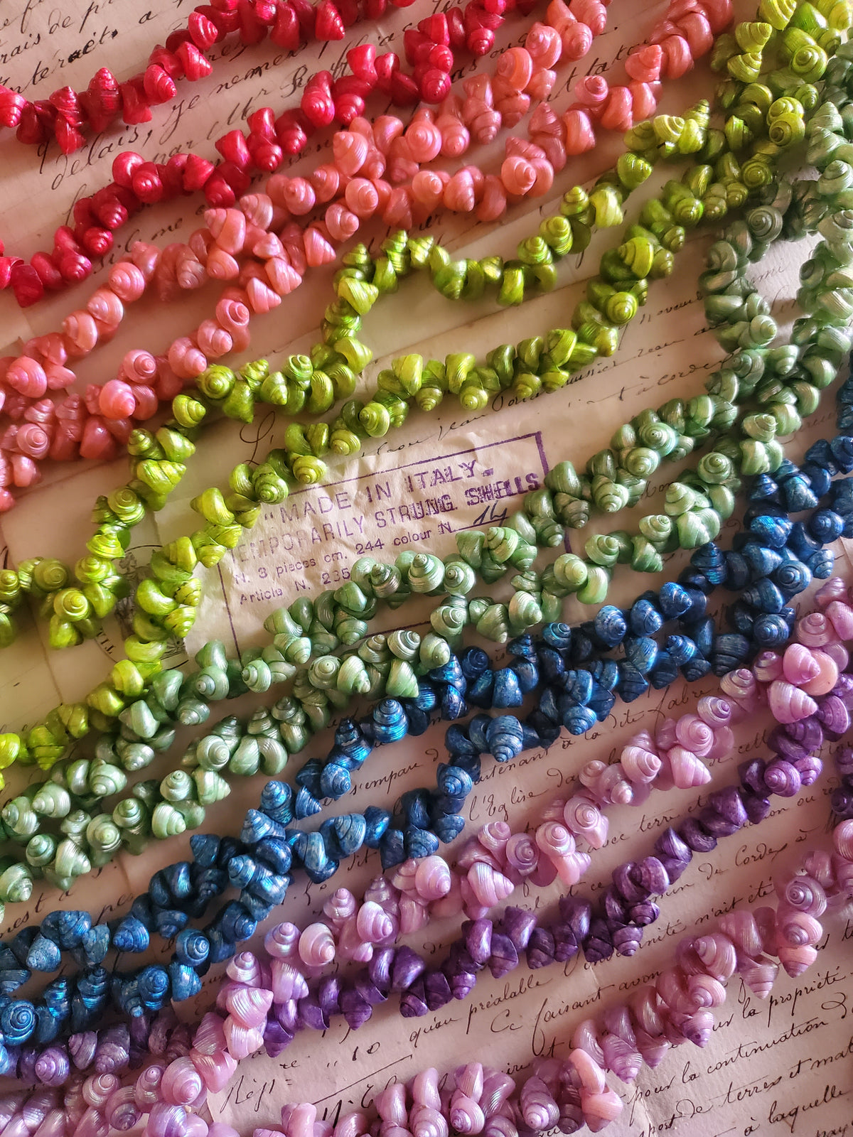 Mini Venetian Sea Shells