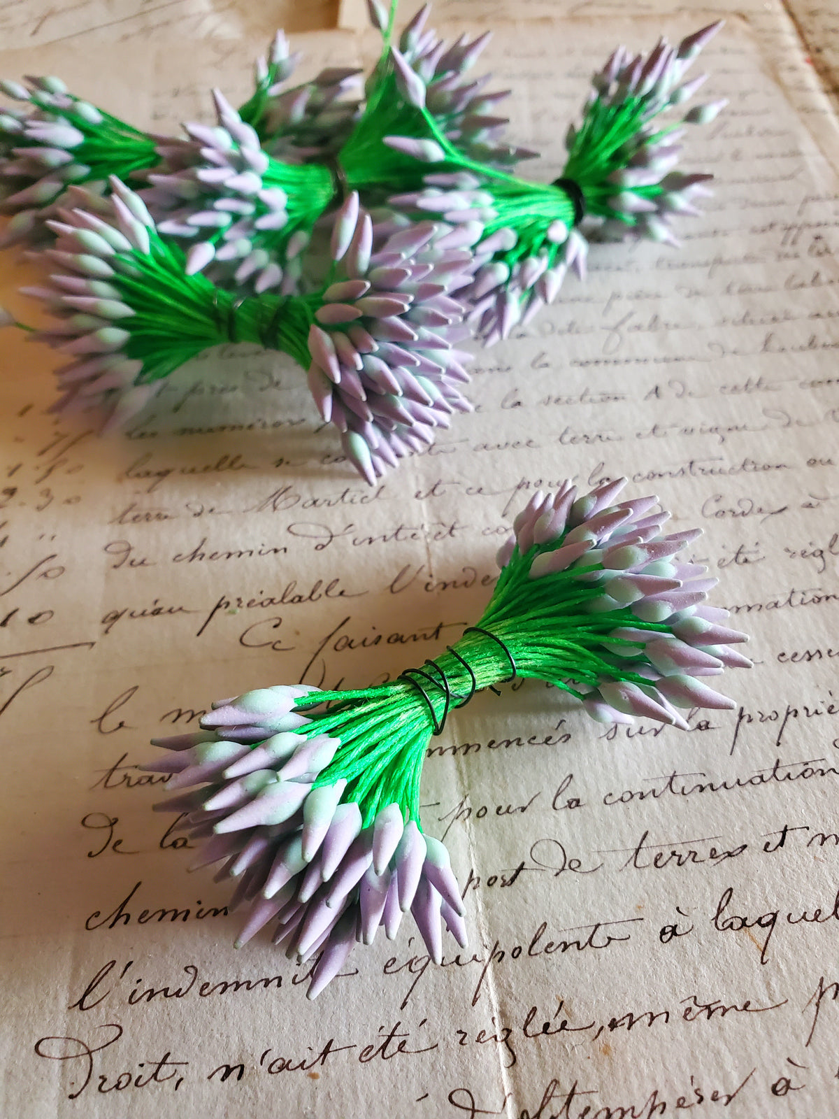 Lavender and Mint on Green Stamens