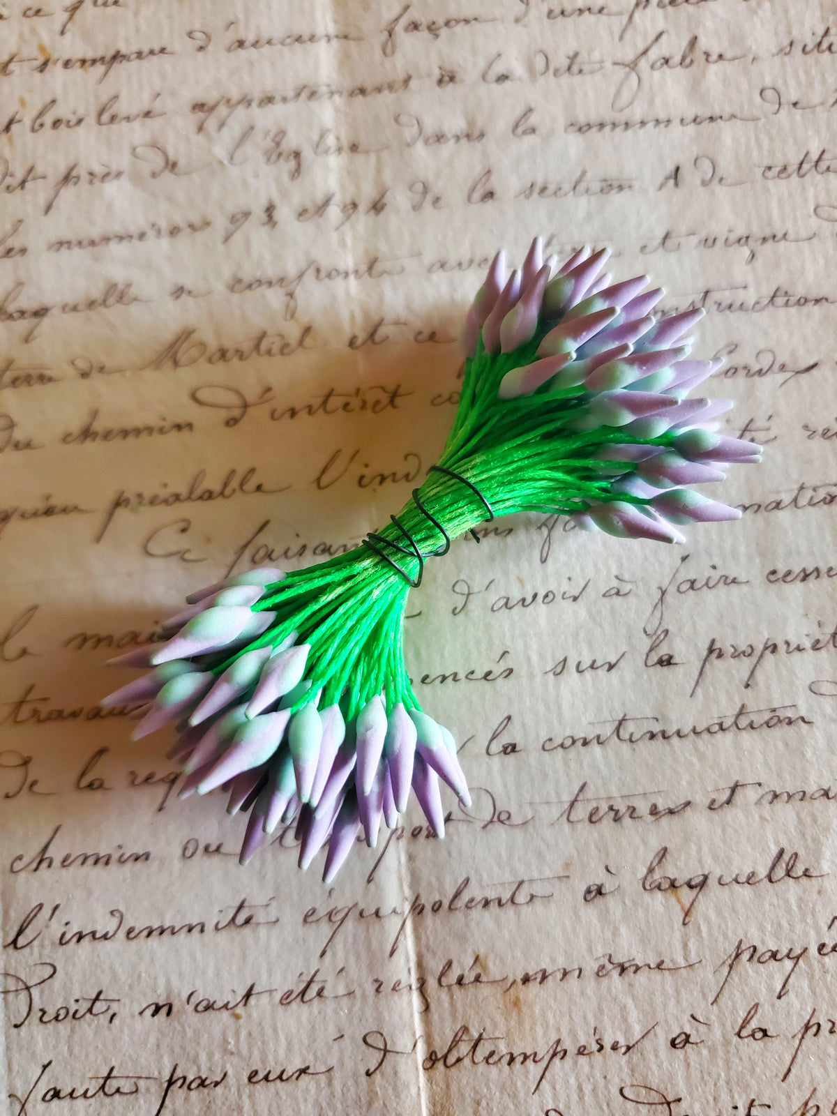 Lavender and Mint on Green Stamens