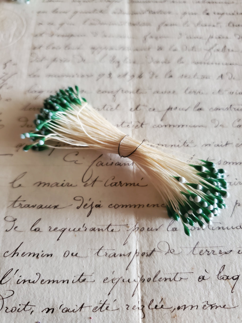 Off White Stamens with Green and Blue Tips