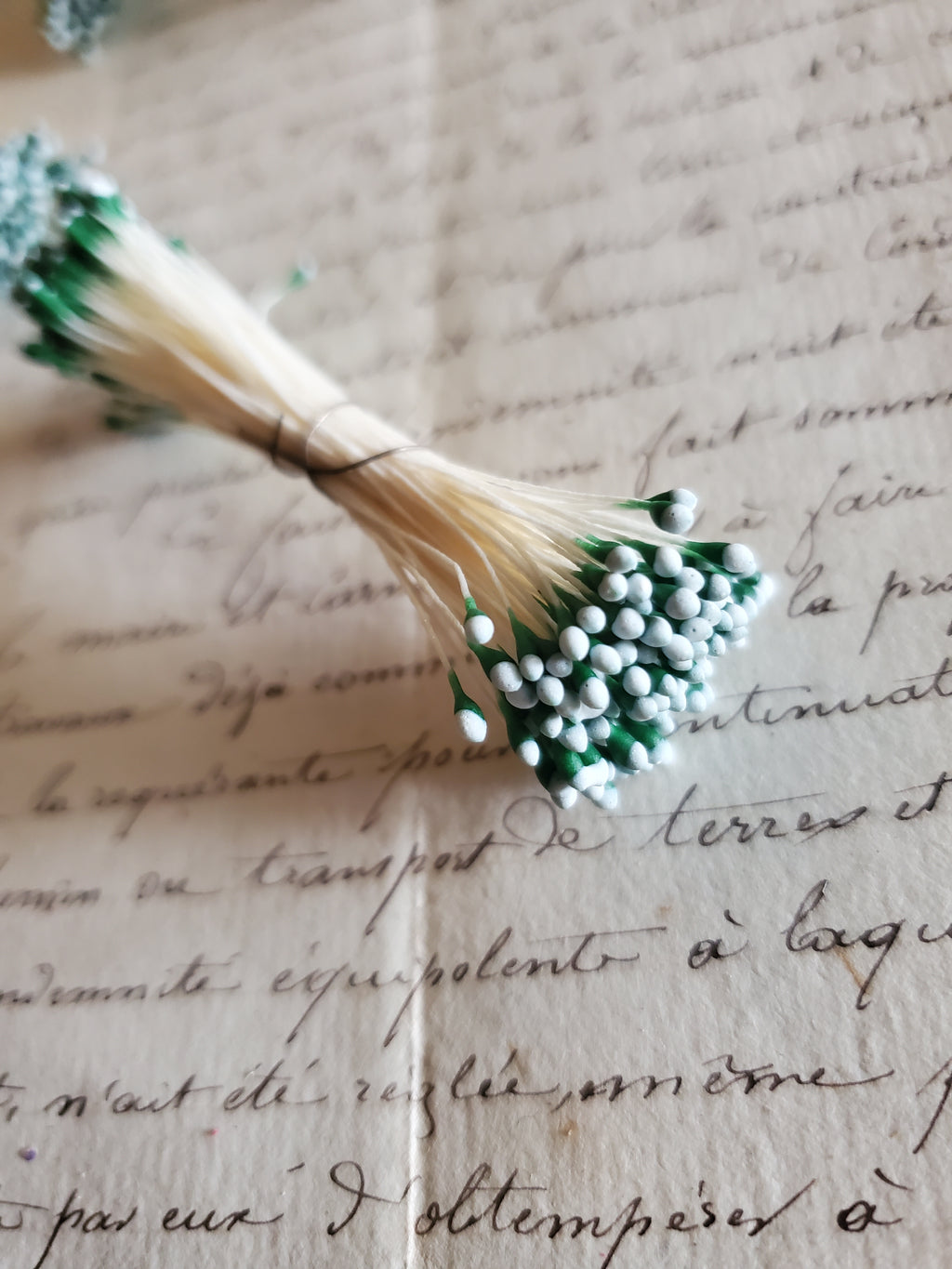 Off White Stamens with Green and Blue Tips