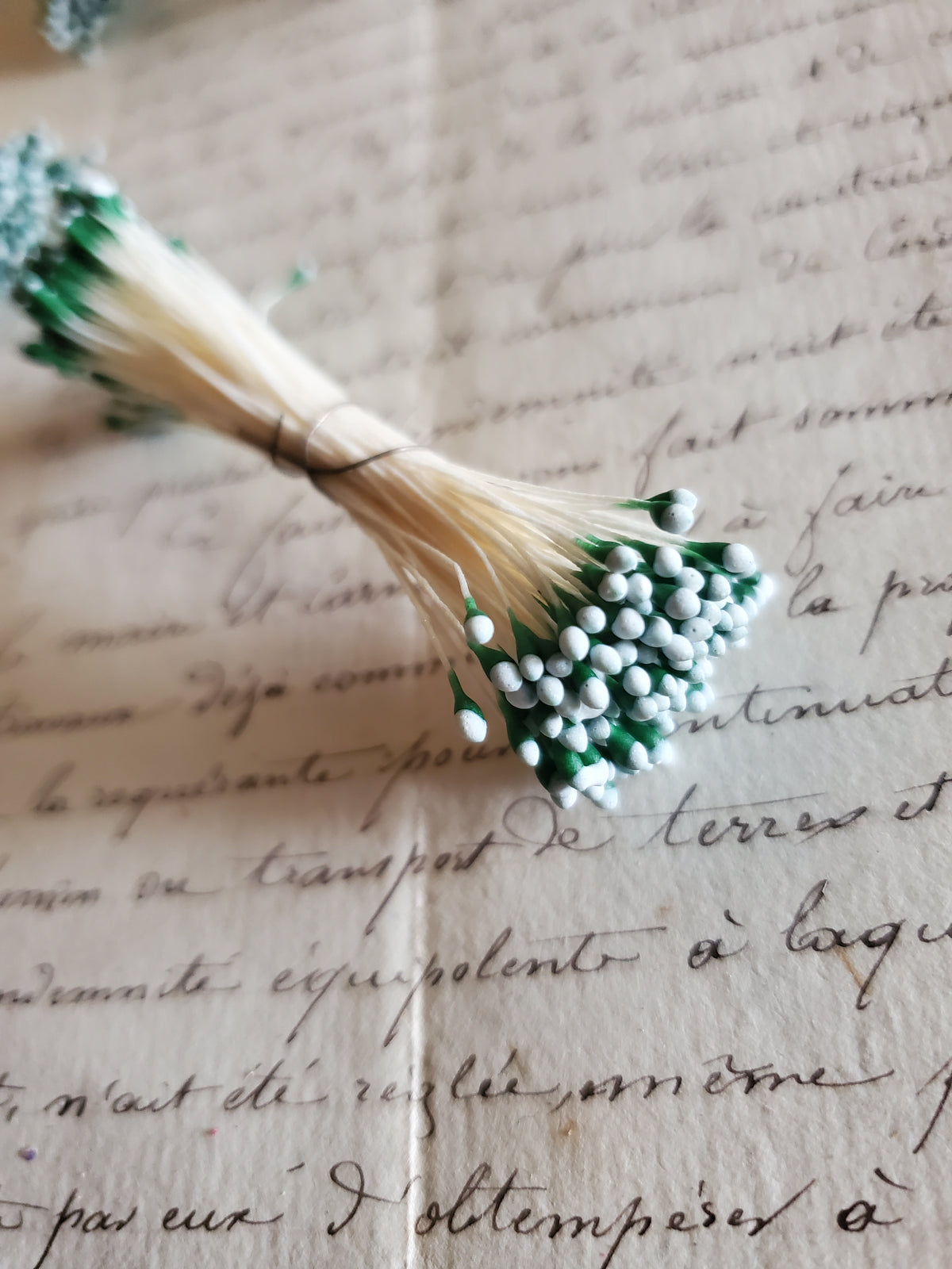 Off White Stamens with Green and Blue Tips