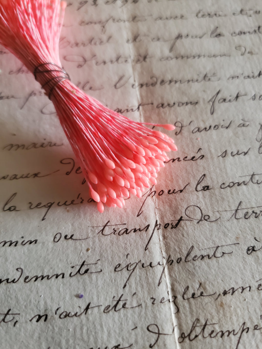 Vintage Neon Pink German Stamens