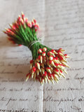 Vintage Green, Red and Yellow Stamen - 1 bunch