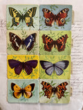 Butterfly Scrap 8 pcs