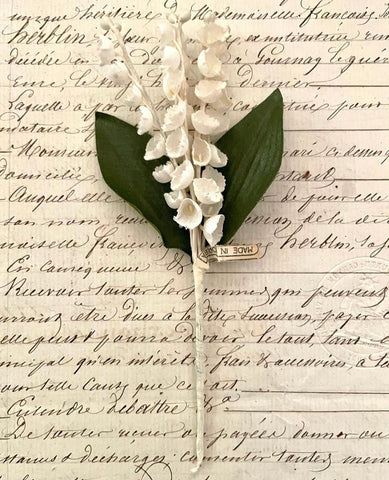 Lily of The Valley W/Leaves