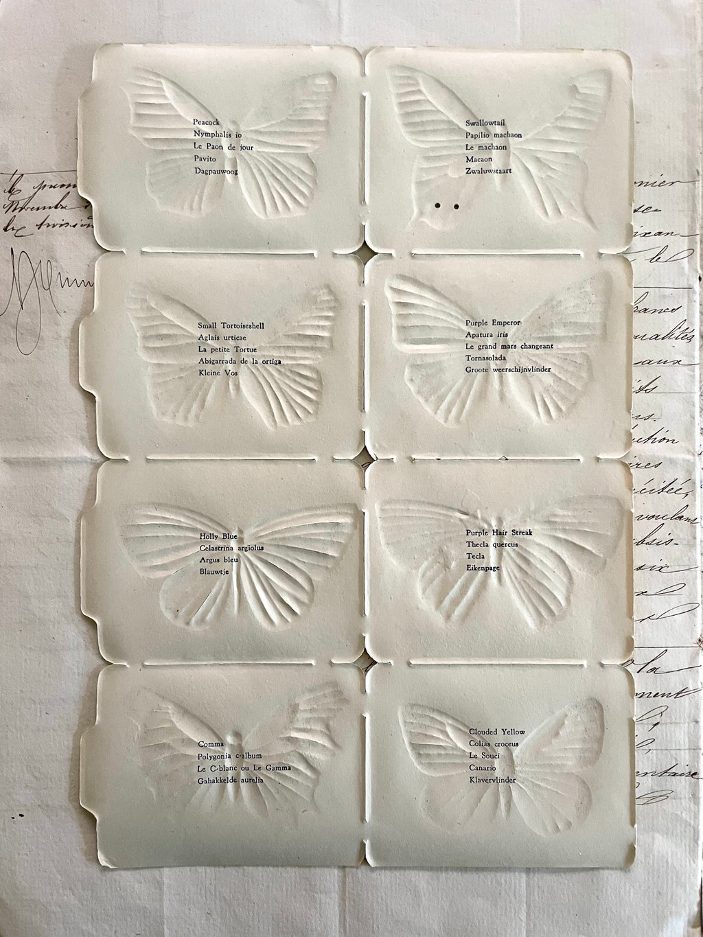 Butterfly Scrap 8 pcs