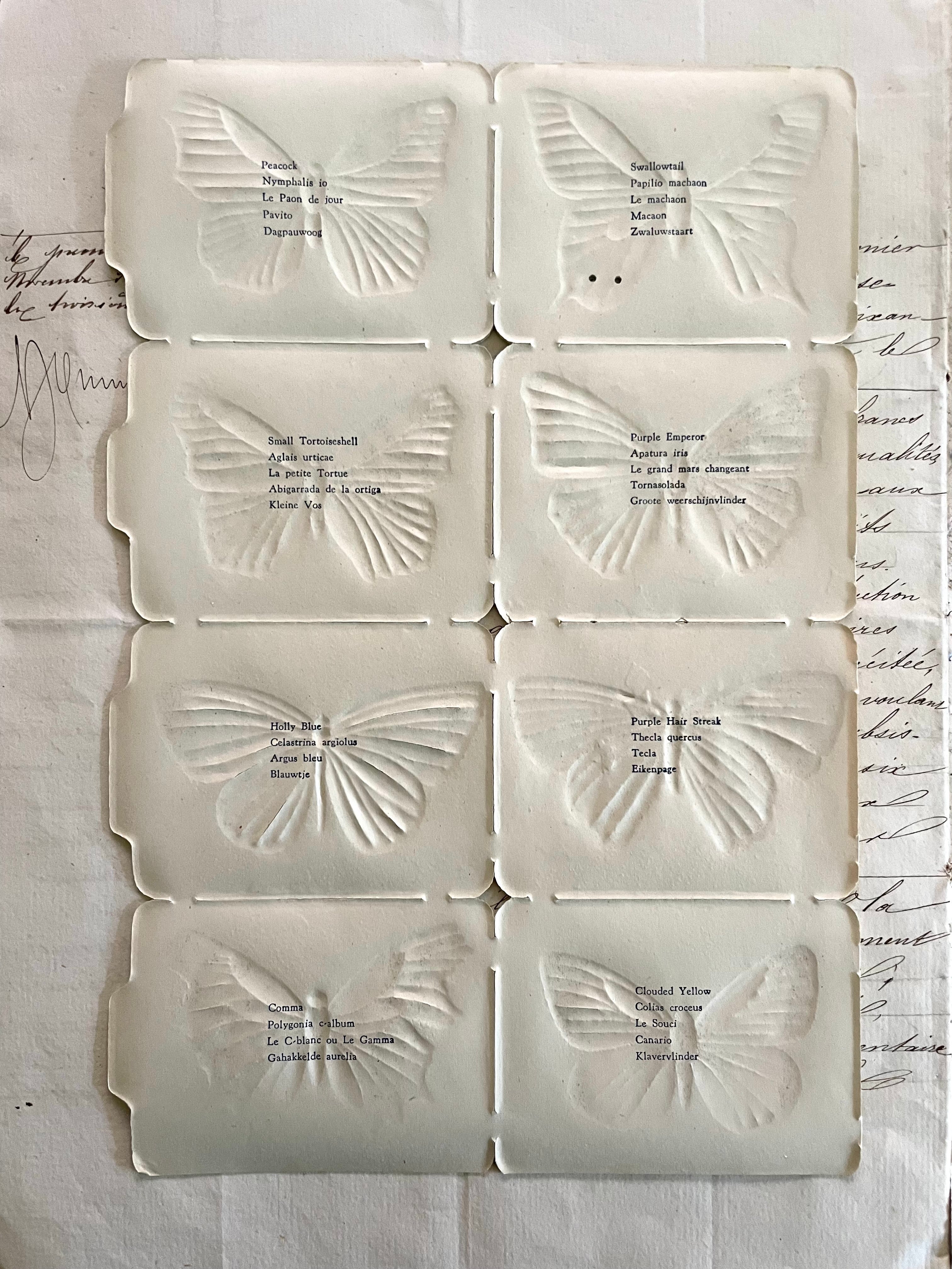 Butterfly Scrap 8 pcs