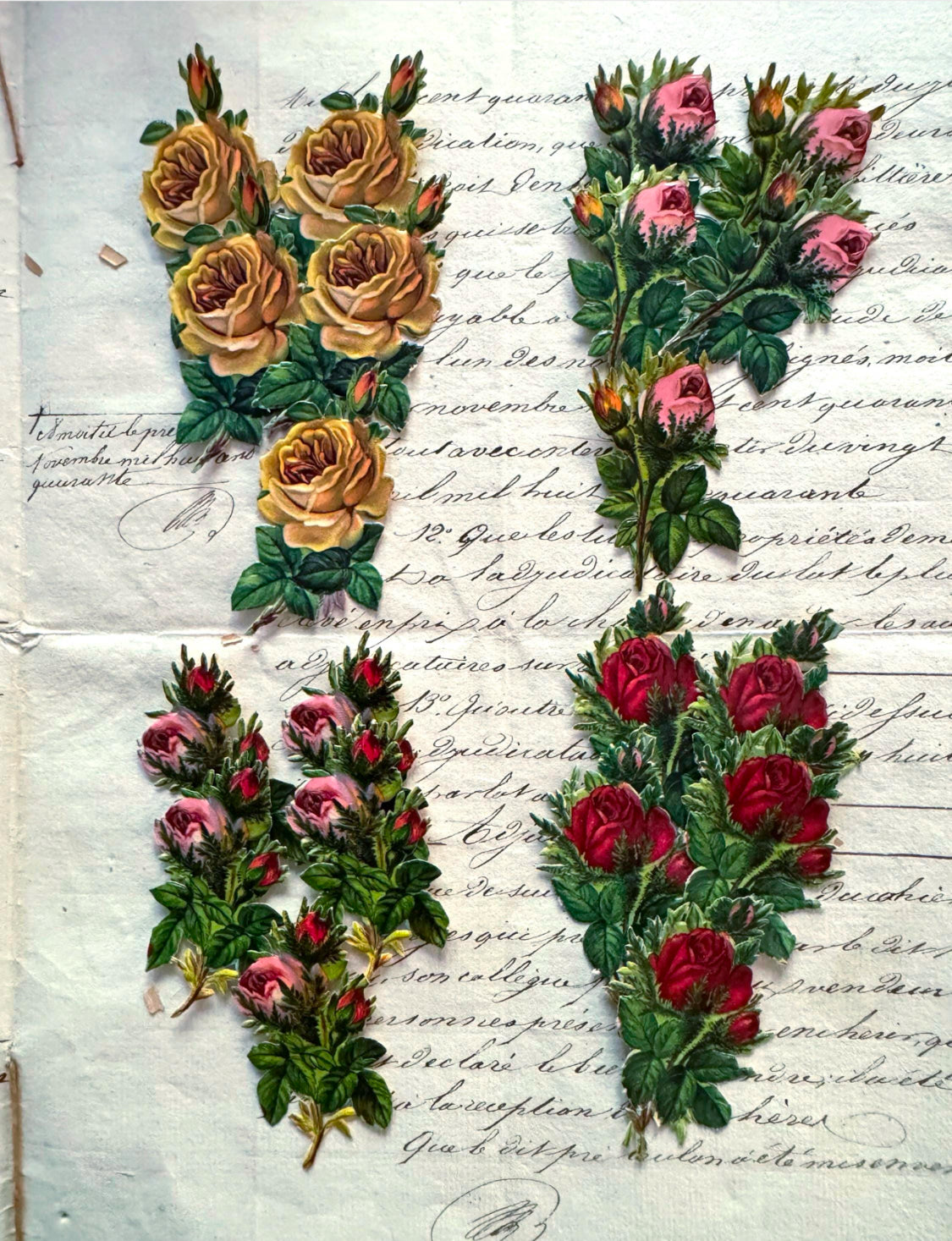Victorian Floral Scrap