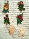 Victorian Floral Scrap