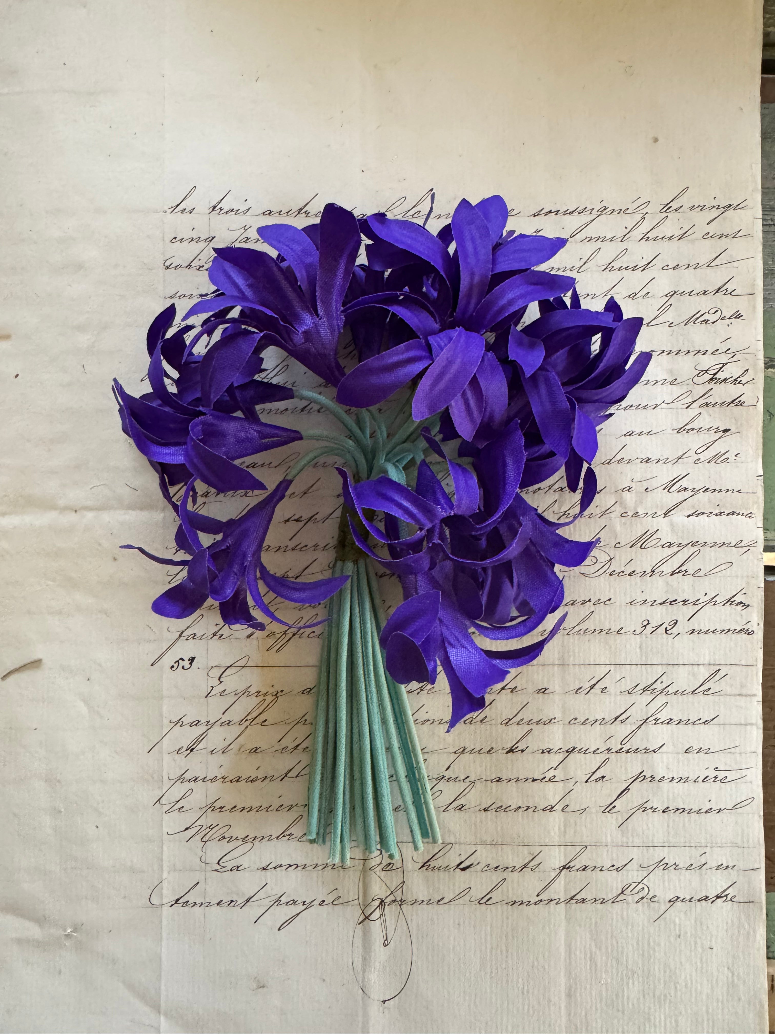 Purple Floppy Flower