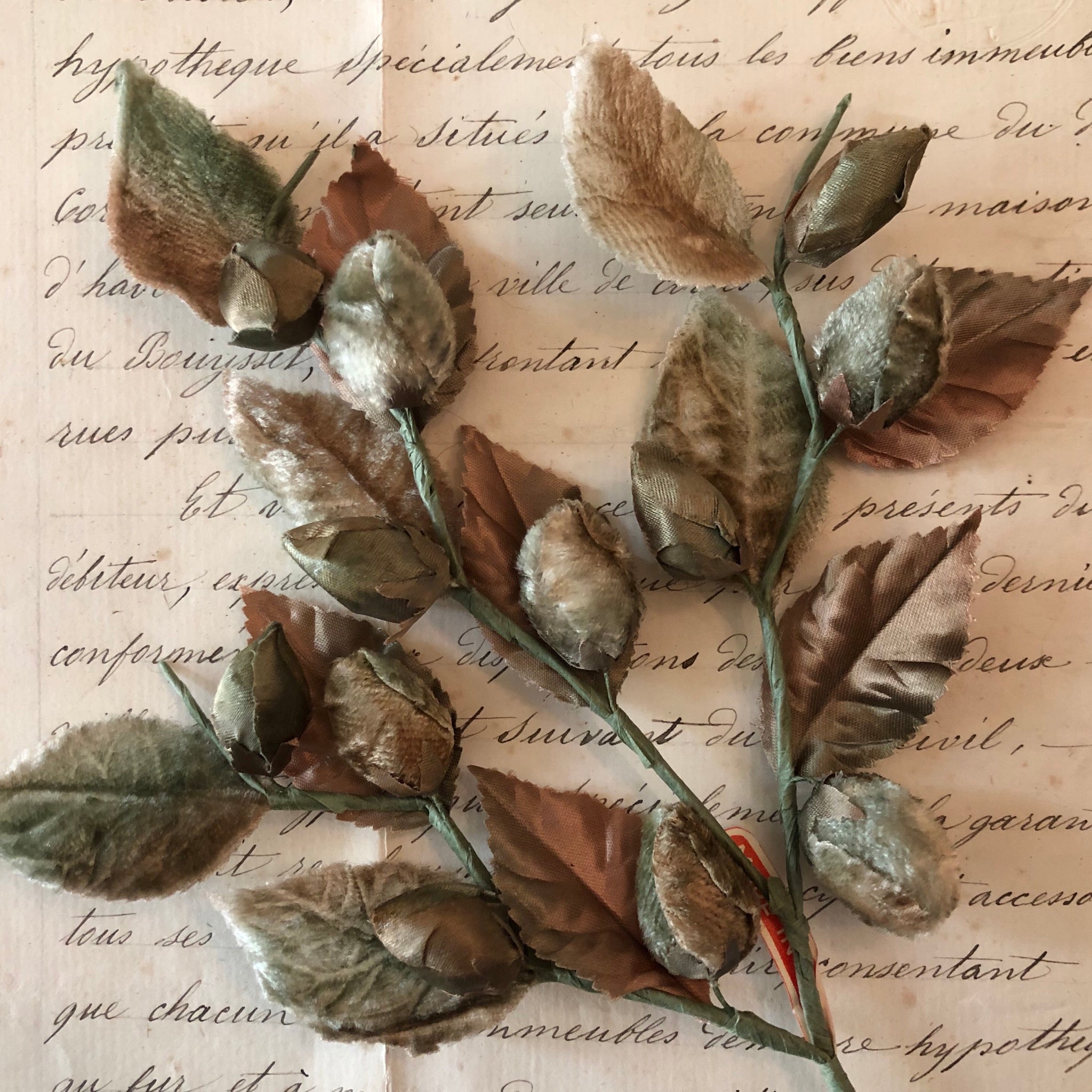 Velvet Leaf Spray W/Buds 2 colors