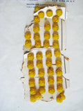Yellow Rose Glass Button 1 Doz