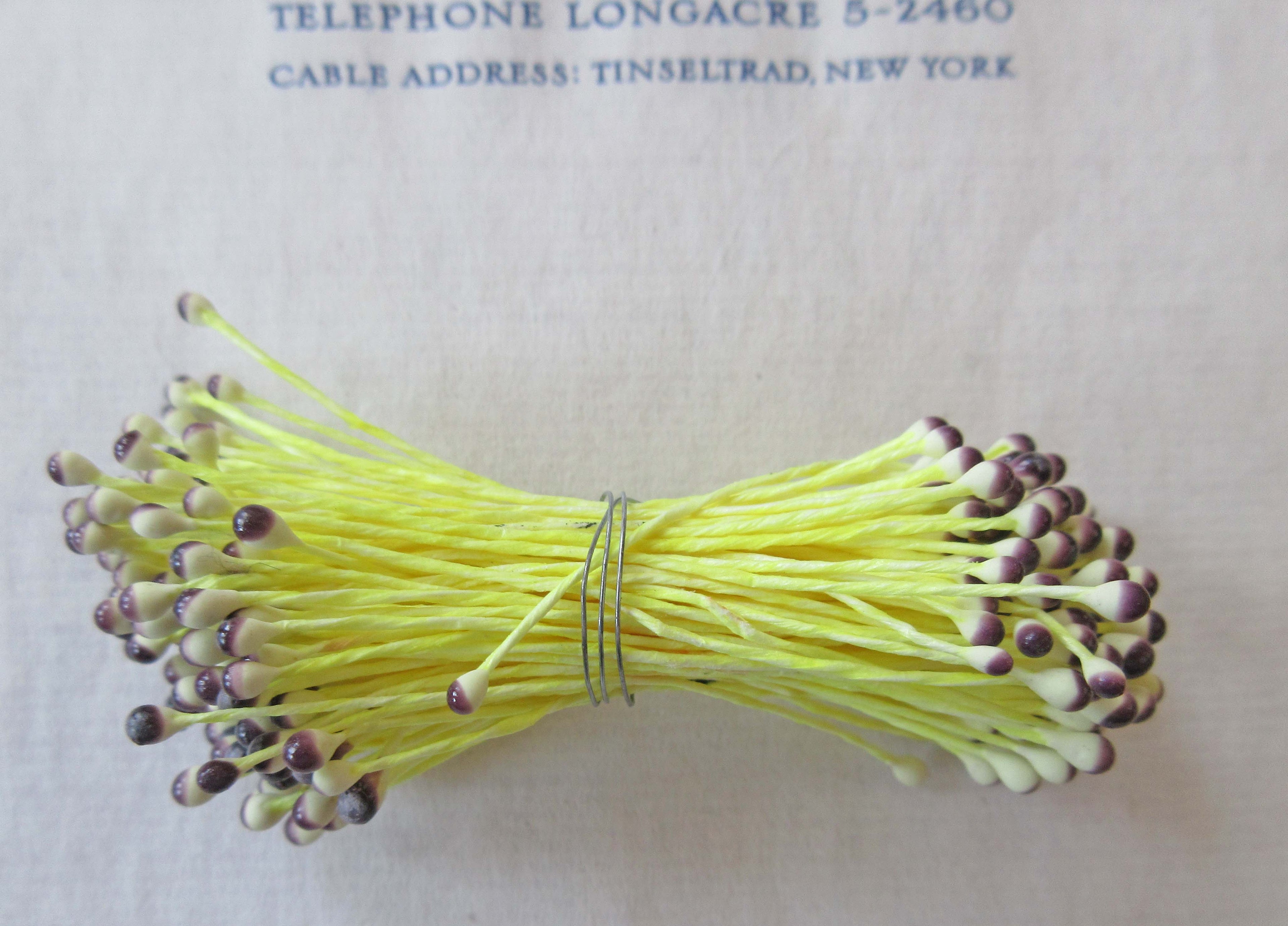 Eggplant/White Stamen