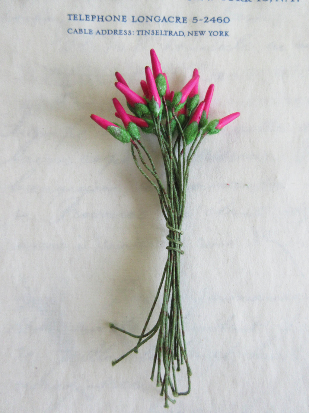 Fuchsia & Red/Green  Stamen