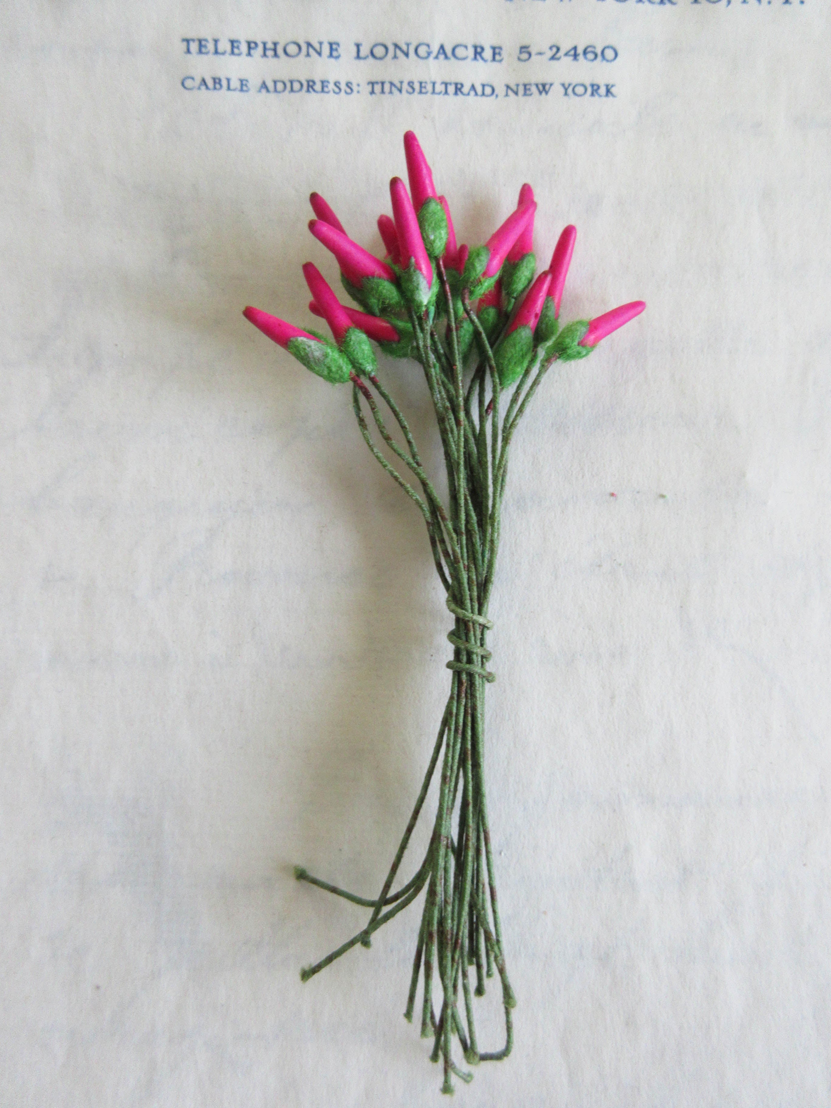 Fuchsia & Red/Green  Stamen