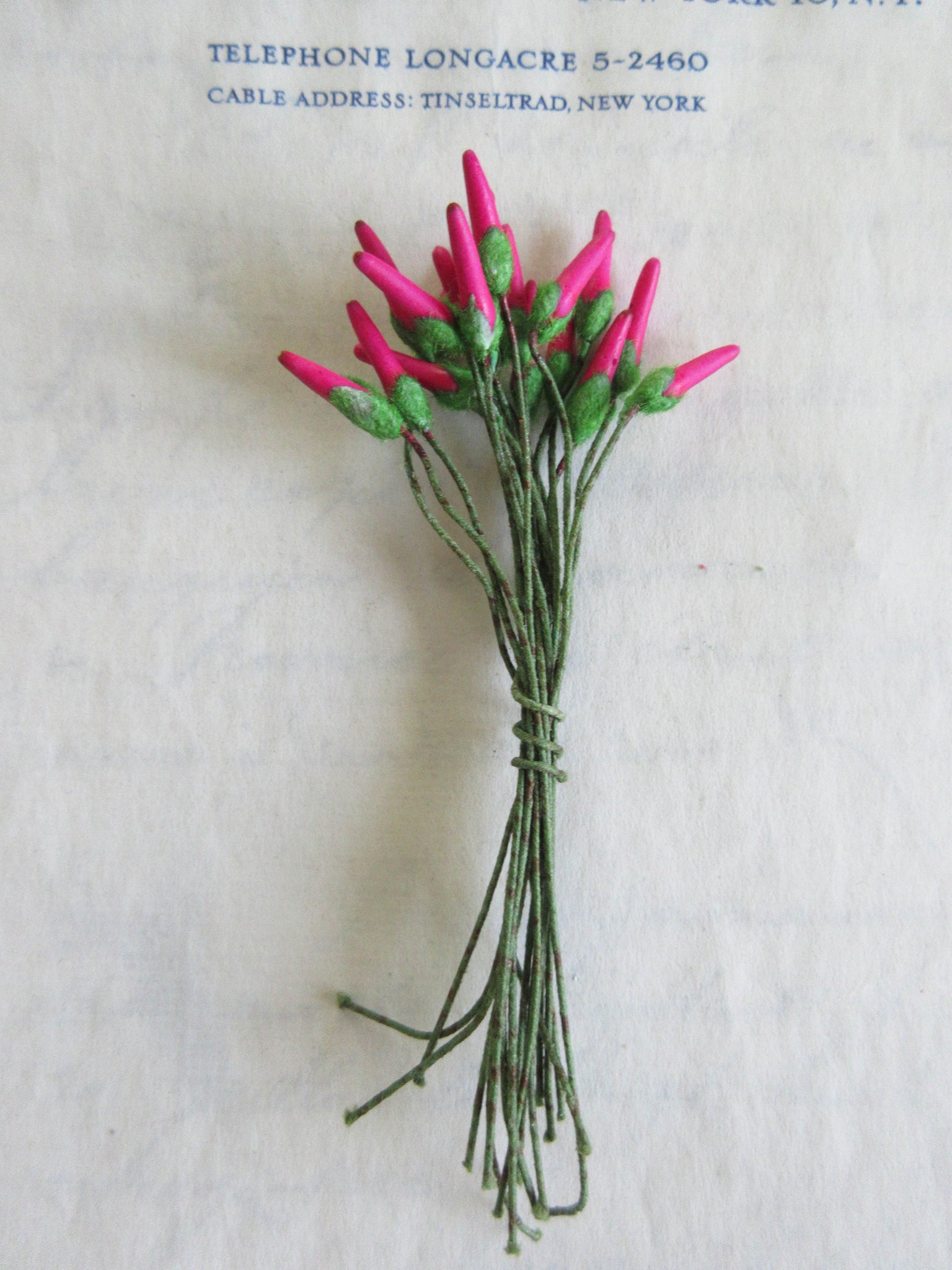 Fuchsia & Red/Green  Stamen