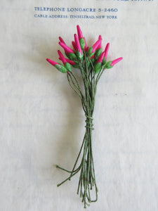 Fuchsia & Red/Green  Stamen