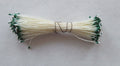 Green/White Stamen