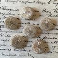 6 Round Silver Glass Bugle Buttons
