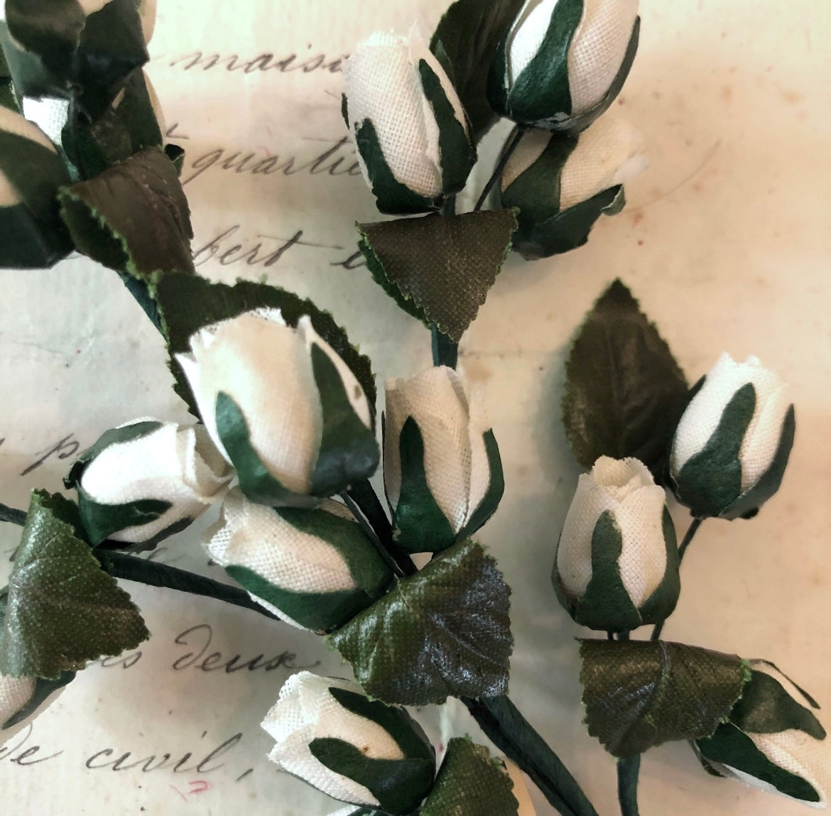 White Bud Spray