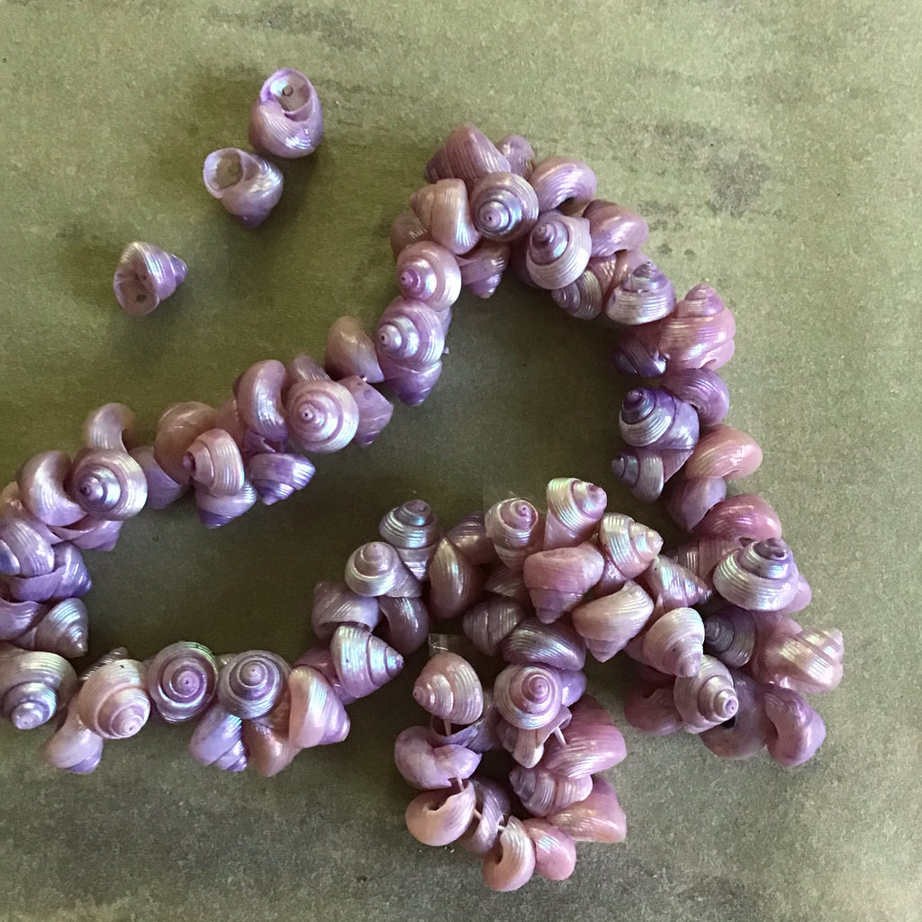 Mini Venetian Sea Shells