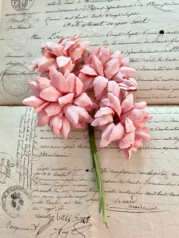 Pink Chrysanthemum Bunch