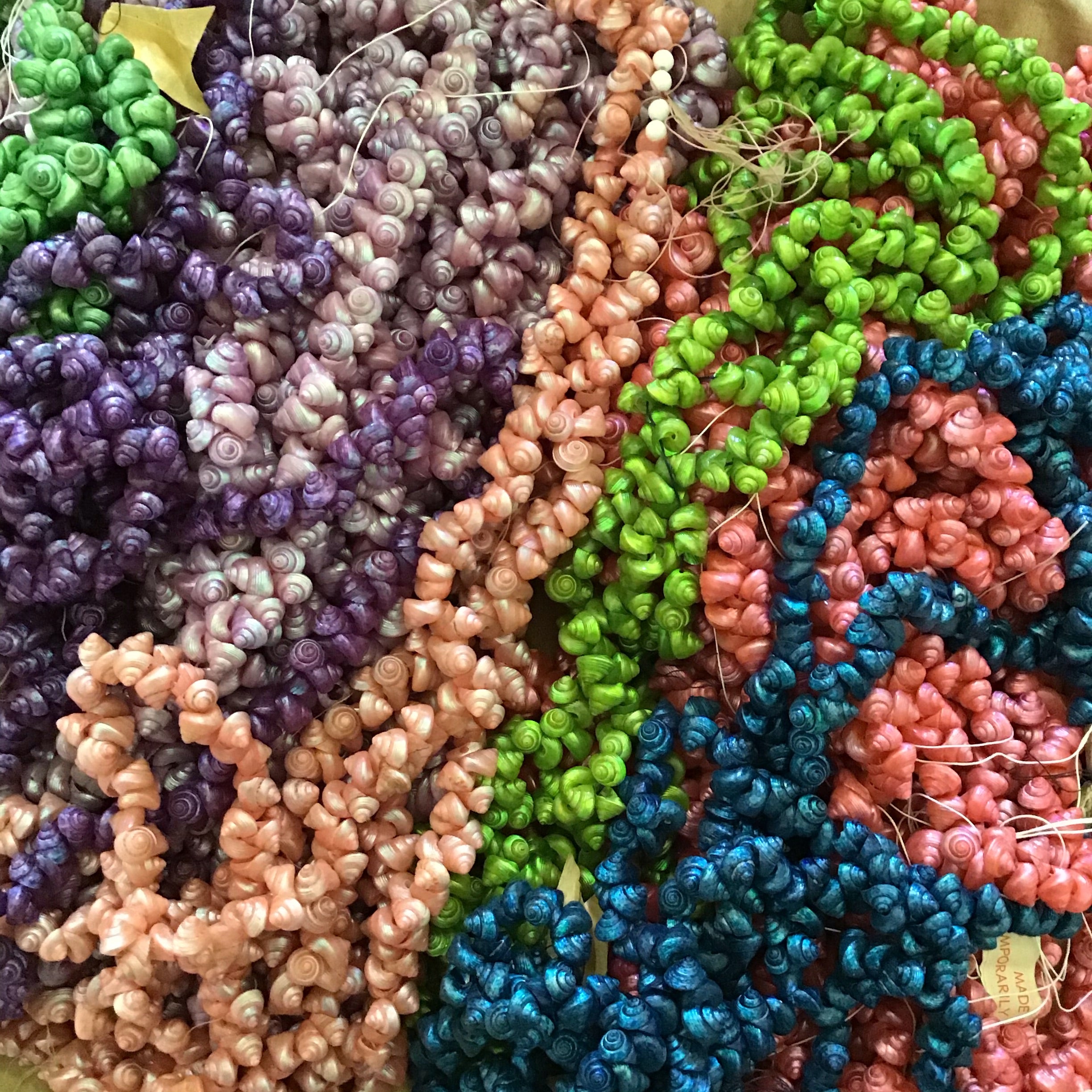 Mini Venetian Sea Shells