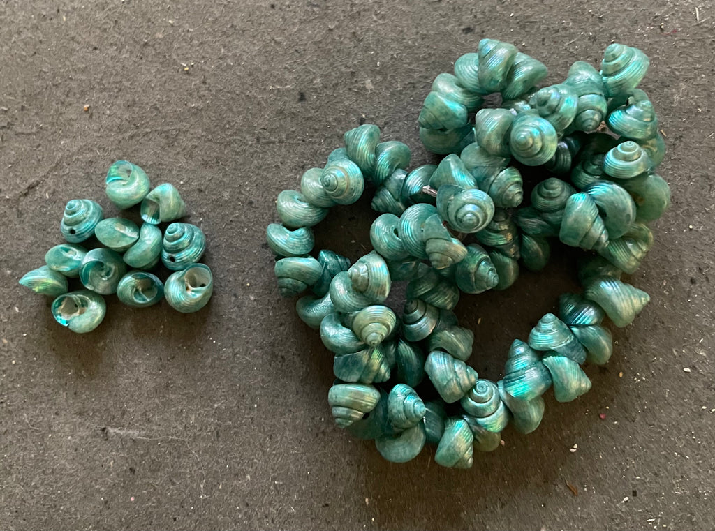Mini Venetian Sea Shells