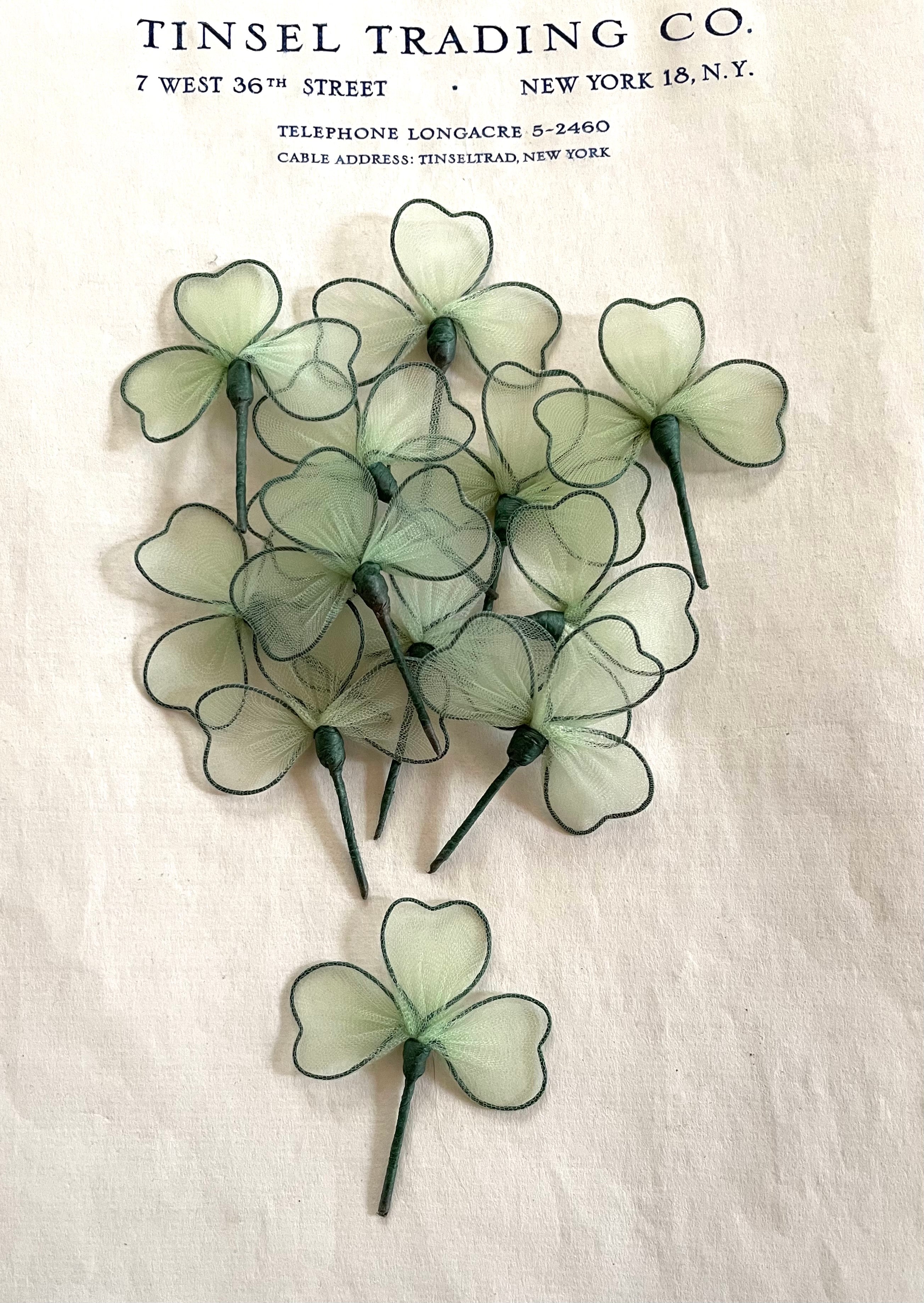 St Patrick's Shamrocks