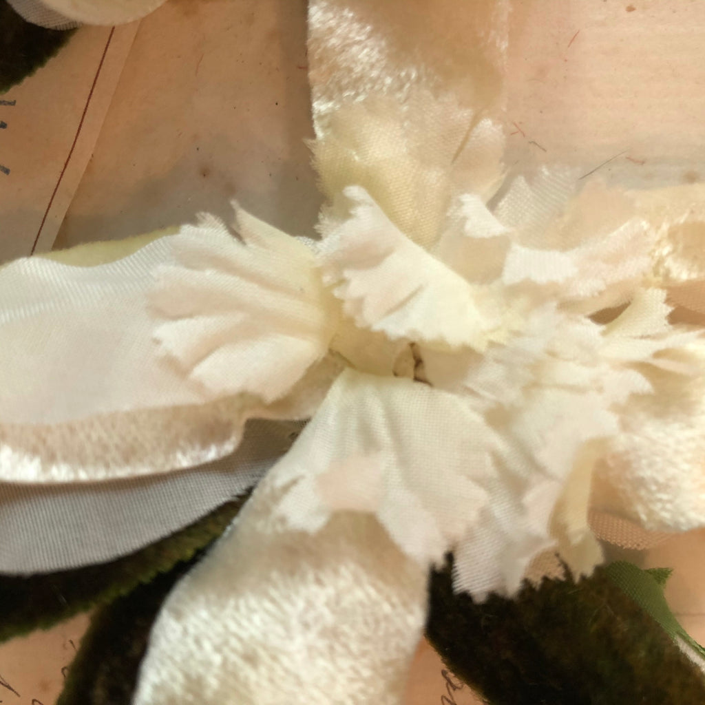 2 Velvet Orchids