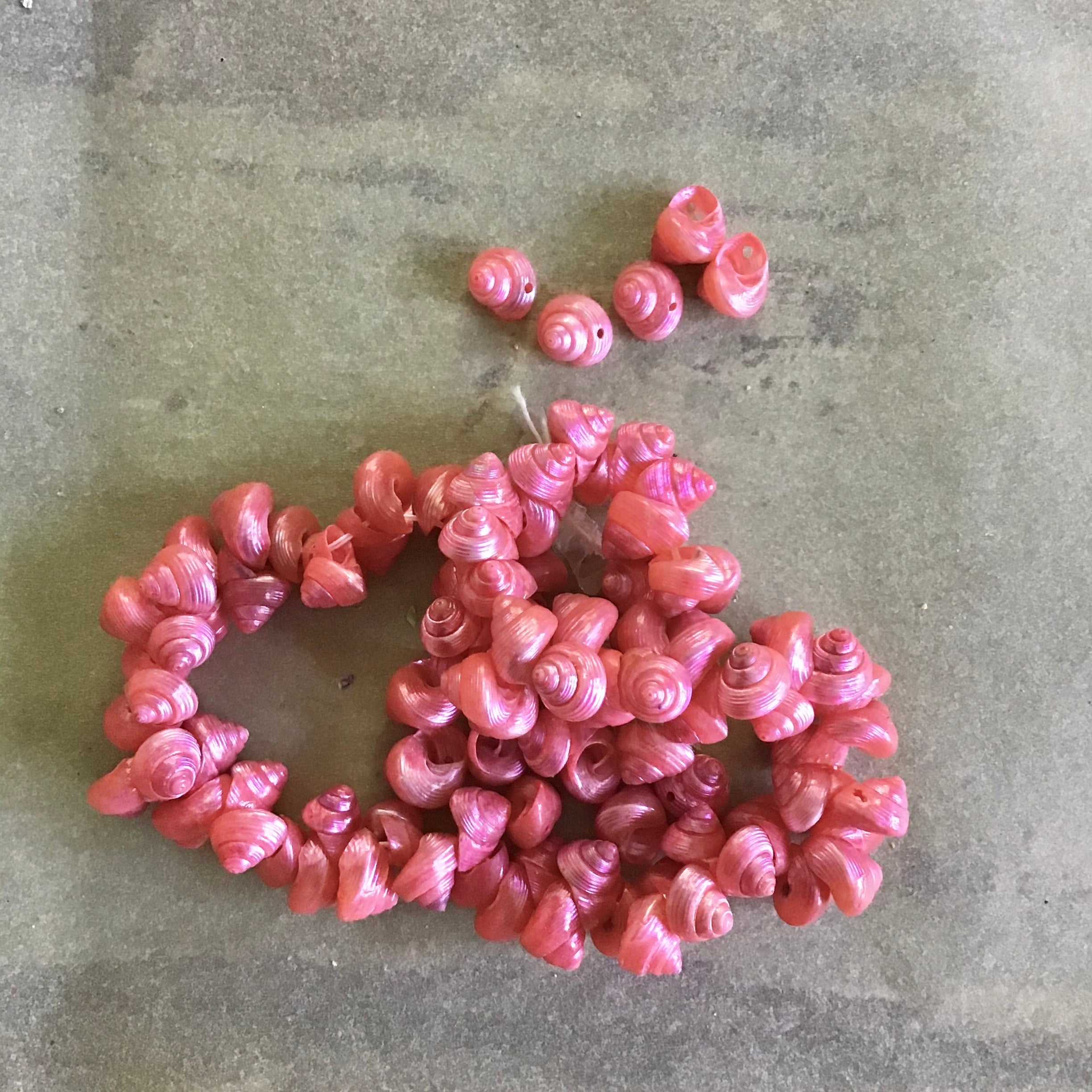 Mini Venetian Sea Shells