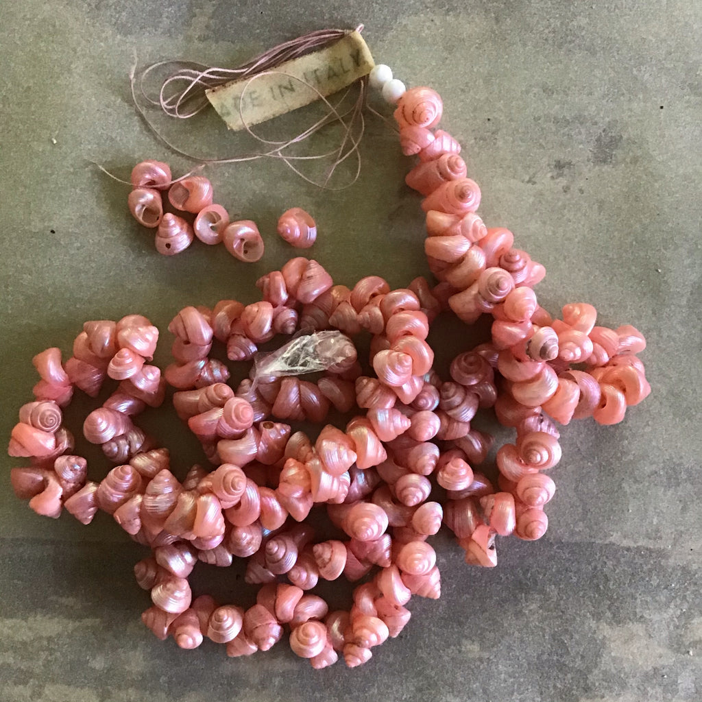 Mini Venetian Sea Shells