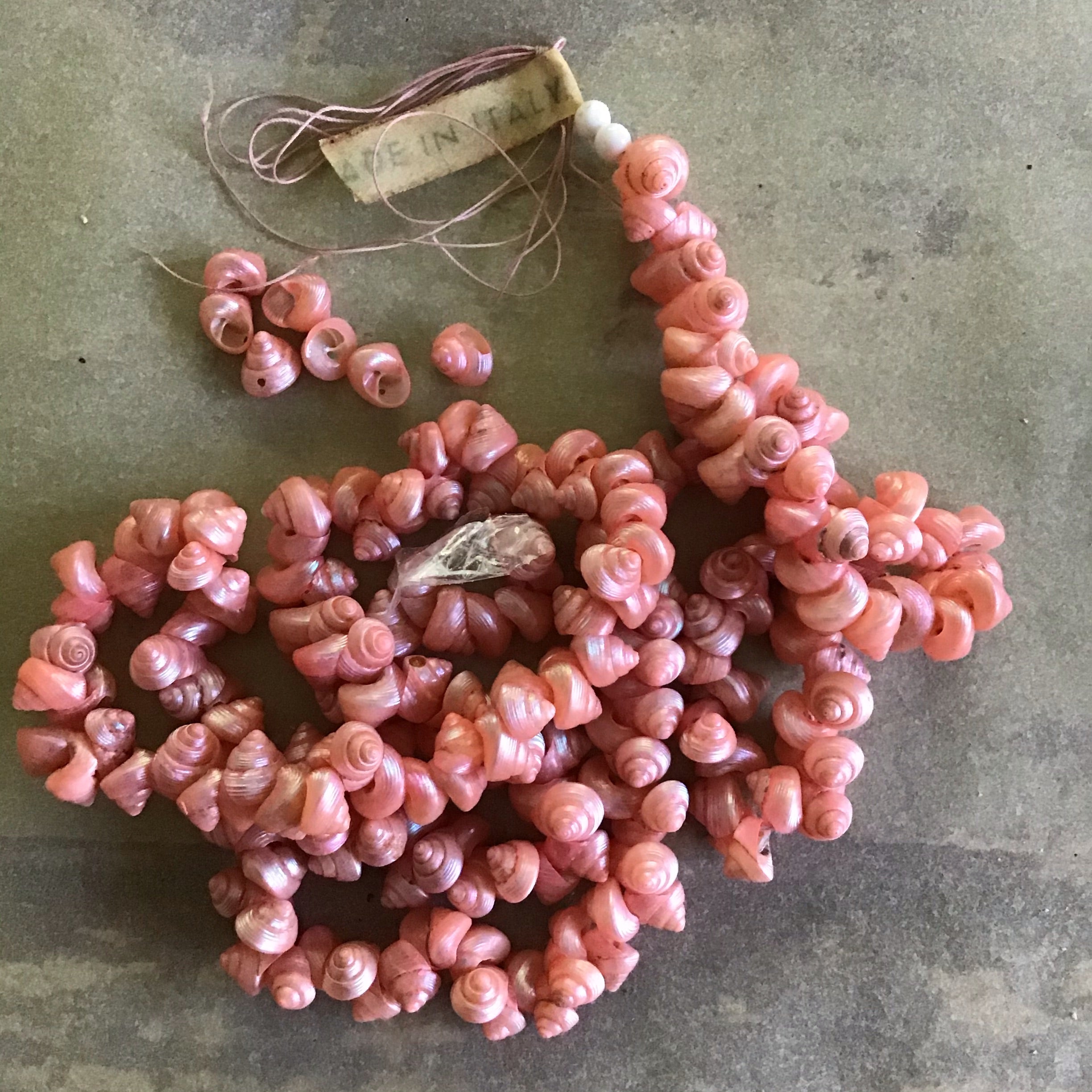 Mini Venetian Sea Shells