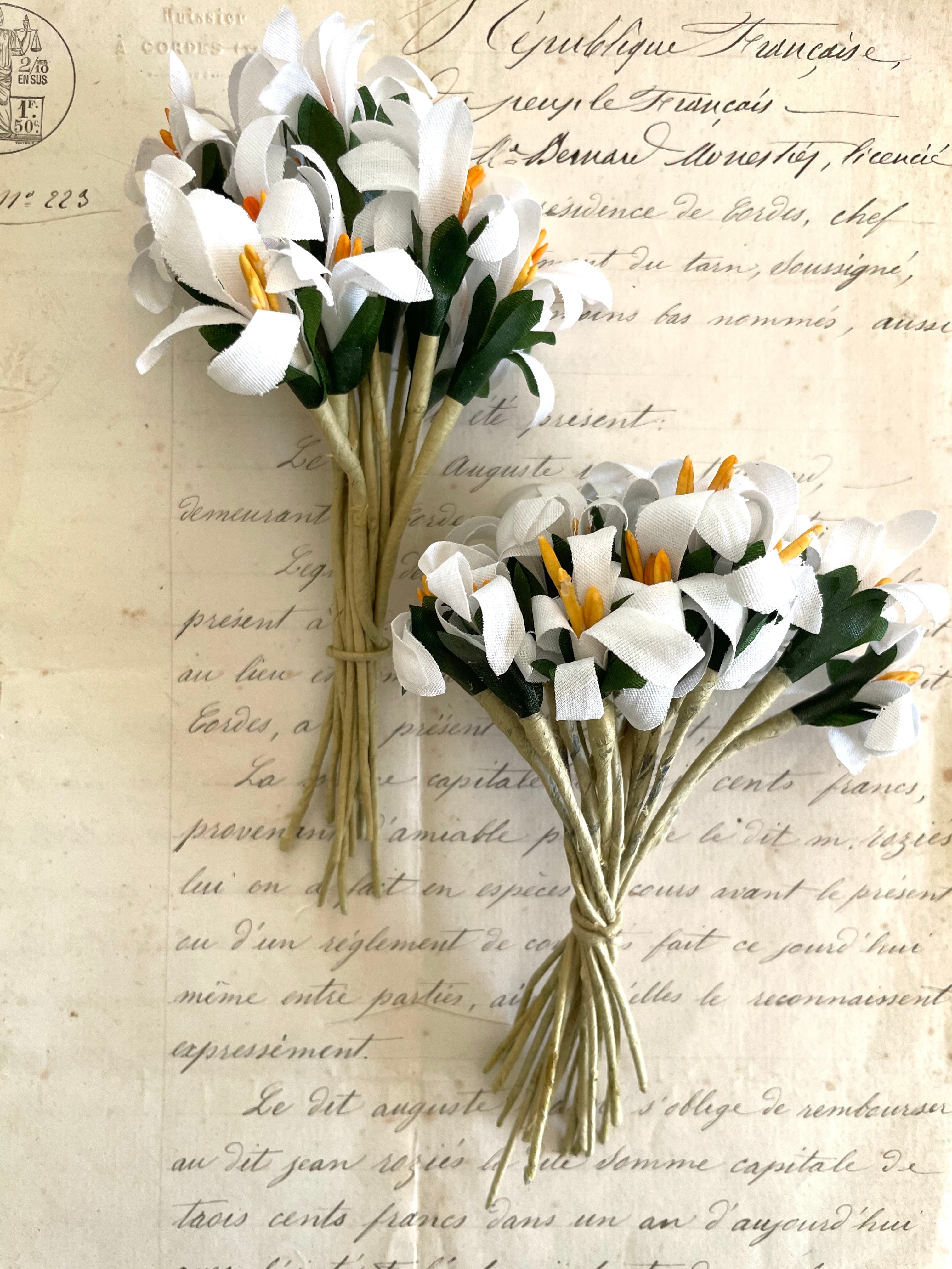 2 Lillies w/Yellow Stamens