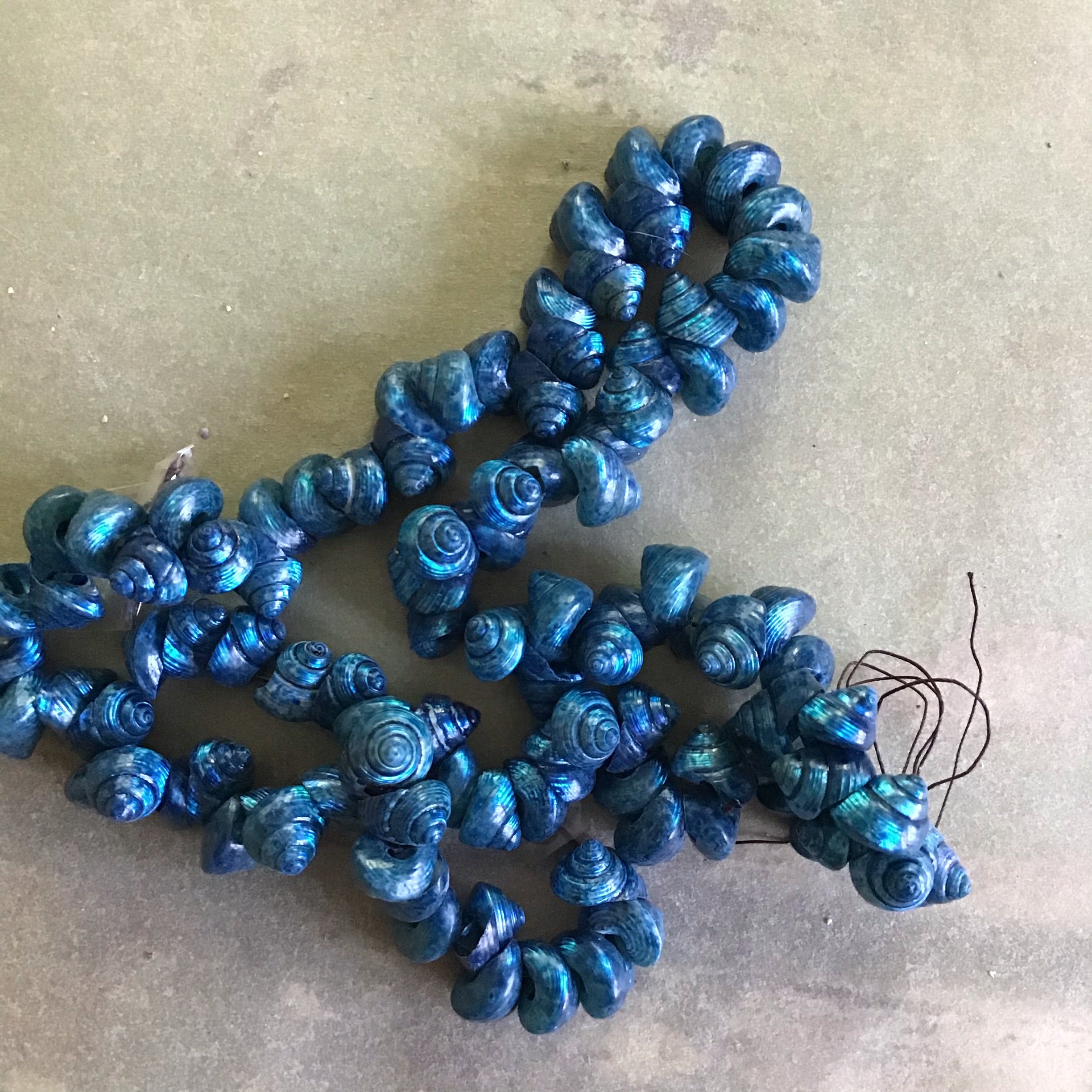Mini Venetian Sea Shells