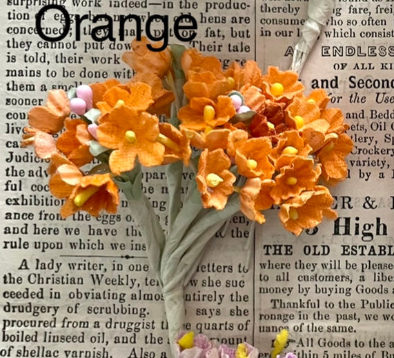 Forget Me Nots - 6 colors