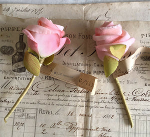 2 Pink Roses