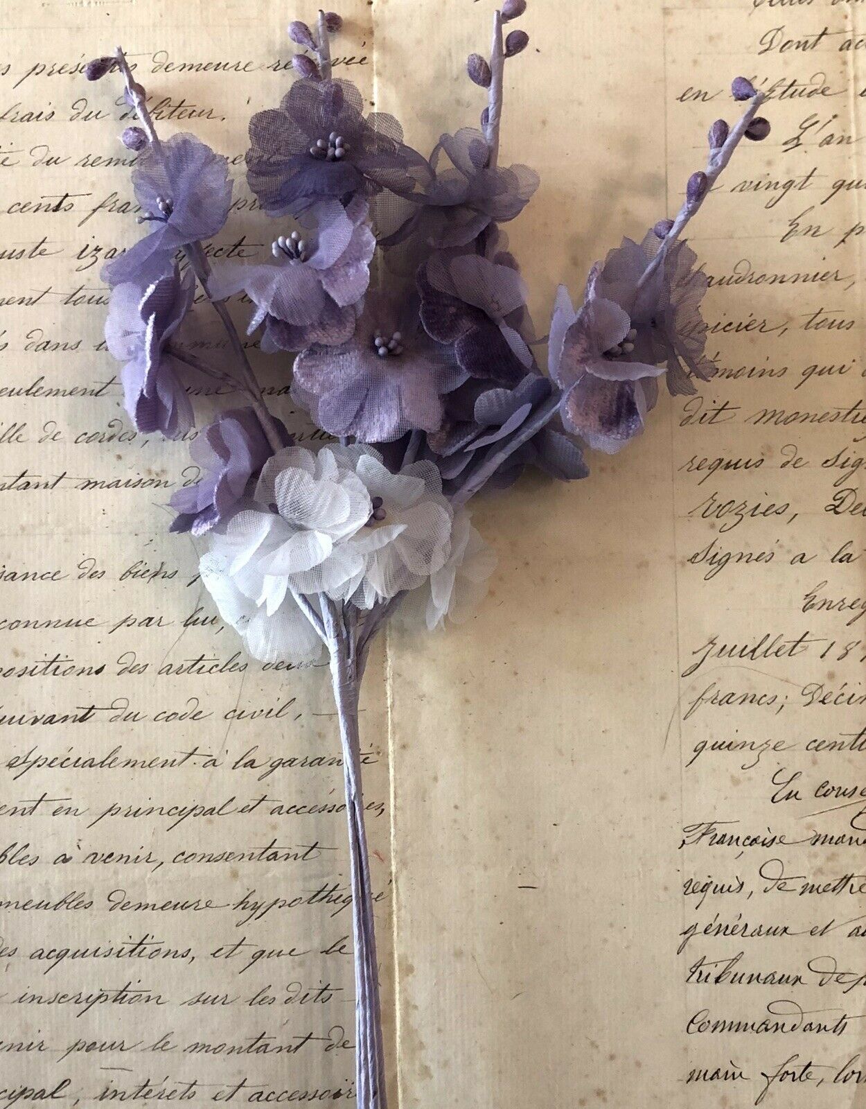 Lavender Tall Spray w/ Pips