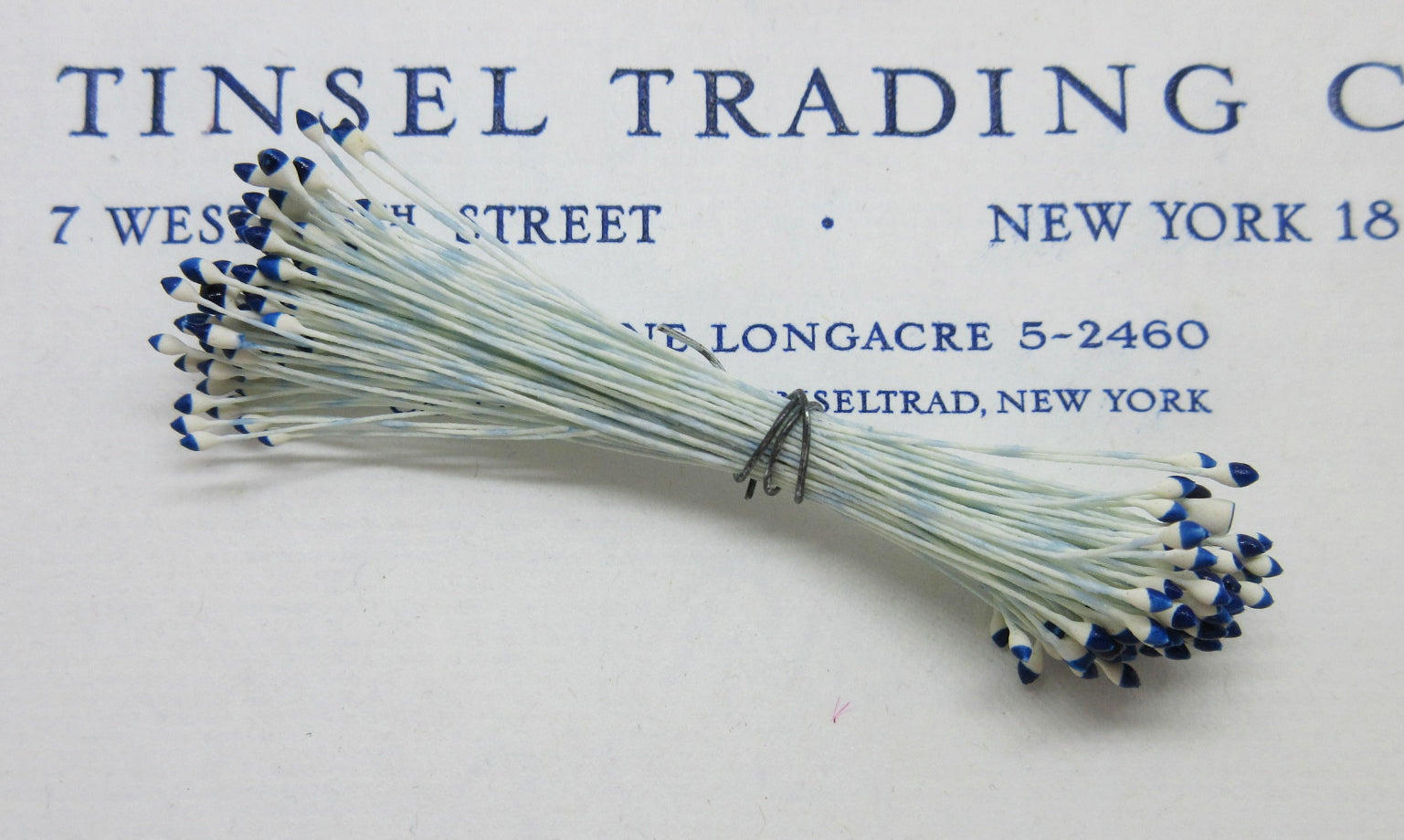 White/Blue Stamen