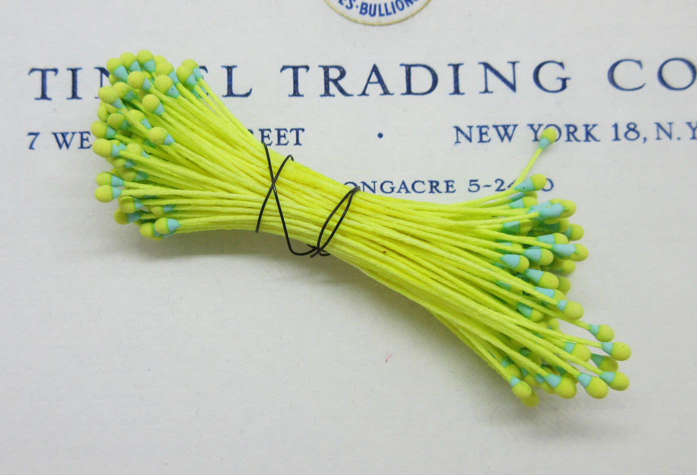 Turq Blue/Yellow Stamen